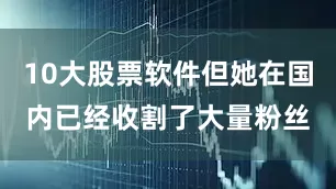 10大股票软件但她在国内已经收割了大量粉丝